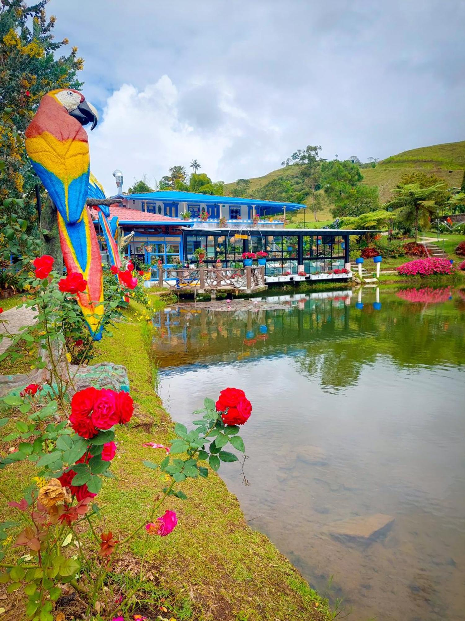 Hotel Lago Valdivia Jardin Exteriér fotografie